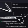 SEESEE.U 6 Ciseaux de Coupe de Cheveux Professionnels Japon 440C Ciseaux à effiler en Acier pour Hommes/Femmes Coupe pour Sa