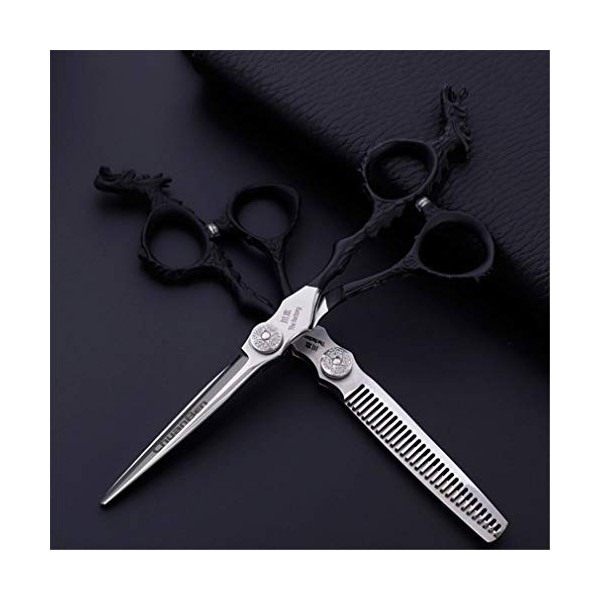 Ciseaux De Coiffure Set, De Haute Qualité Professionnelle 6.0 Pouces Coiffure Dilution Salon De Coiffure Ciseaux Set, avec Mo