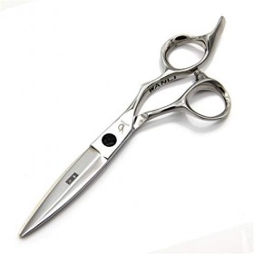 Salon Professionnel Ciseaux De Coiffure, 440C Japonais Acier Ciseaux De Coupe De Cheveux pour Coiffure, Utilisation À Domicil