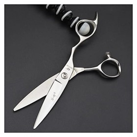 Ciseaux de toilettage pour animaux de compagnie, cheveux de rasoir professionnels, cisailles plates, ciseaux texturants pour 