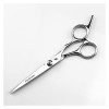 Ciseaux de coupe de cheveux de coiffure professionnels Outils de coiffure Ciseaux de coupe de cheveux droits 6 pouces, Ciseau