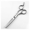 Ciseaux de coupe de cheveux de coiffure professionnels Outils de coiffure Ciseaux de coupe de cheveux droits 6 pouces, Ciseau