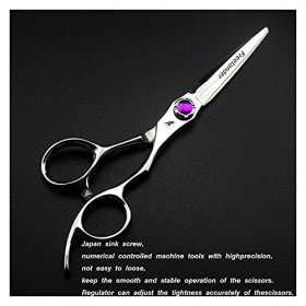 Ciseaux de coupe de cheveux en acier inoxydable, ciseaux de coupe de cheveux professionnels de 6 pouces, ciseaux de coupe de 