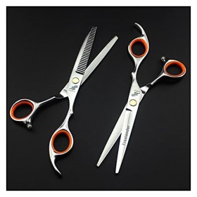 Ciseaux de coupe de cheveux argentés de 6,0 pouces, ciseaux de coupe de cheveux pointus, ciseaux de coupe de cheveux, rasoir 