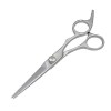 XiYou Ciseaux de Coupe de Cheveux Coupe, Coupe damincissement des Dents de Cheveux de Coiffeur Professionnel de 6", Coupe de