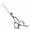 Outils de coupe des cheveux Coupe de cheveux Green Diamond grande oreille poignée ciseaux de réparation droite cisaillement p