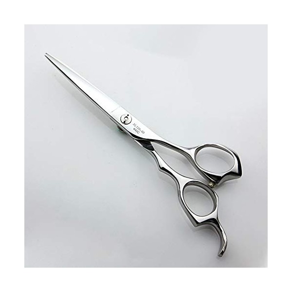 Outils de coupe des cheveux Coupe de cheveux Green Diamond grande oreille poignée ciseaux de réparation droite cisaillement p