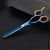 DIHAO Ciseaux à Cheveux de Coiffure Coiffeur Professionnel Bleu Ciseaux à Coupe Plate en Option Outils de Coiffure de Coiffur