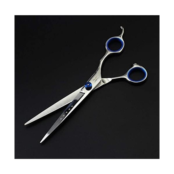 Ciseaux de coiffure professionnels, Kit de ciseaux de coiffeur pour rasoir Coiffure Coiffeur Barber Man, B, coupe plate 6 pou