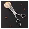 Ciseaux de coupe de cheveux Ciseaux de coiffure à dents double face en argent, Cheveux professionnels à bord de rasoir, Cisea