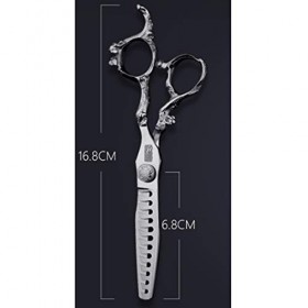 Ciseaux de coiffure Cisailles à effiler professionnelles - 6,5 po - en acier inoxydable avec vis de réglage précis, idéales p...