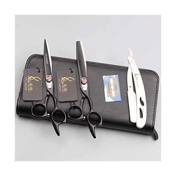 6,0 Pouces Professionnel Ciseaux de Coiffure Set Salon de Coiffure Coupe Dilution Ciseaux Haut de Gamme 440C de Sharp Salon d