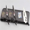 6,0 Pouces Professionnel Ciseaux de Coiffure Set Salon de Coiffure Coupe Dilution Ciseaux Haut de Gamme 440C de Sharp Salon d