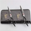 6,0 Pouces Professionnel Ciseaux de Coiffure Set Salon de Coiffure Coupe Dilution Ciseaux Haut de Gamme 440C de Sharp Salon d