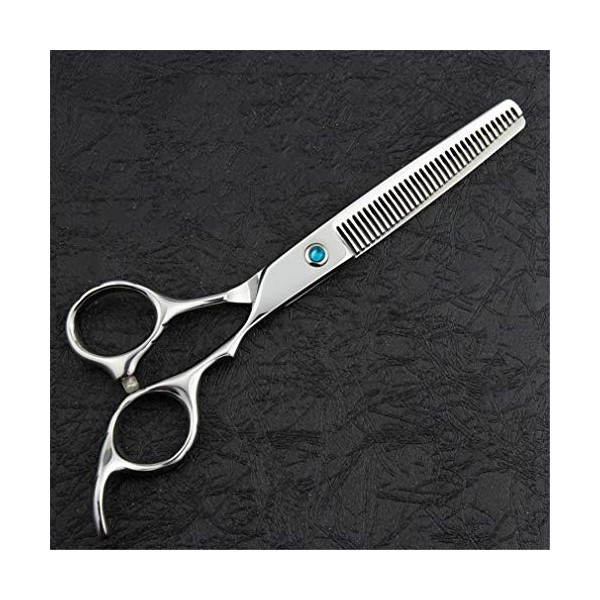 Professionnel Coiffeur 6.0 Pouces Haut de Gamme Ciseaux de Coiffure Ciseaux de Coiffure Set rhéofluidifiant Salon de Coiffure