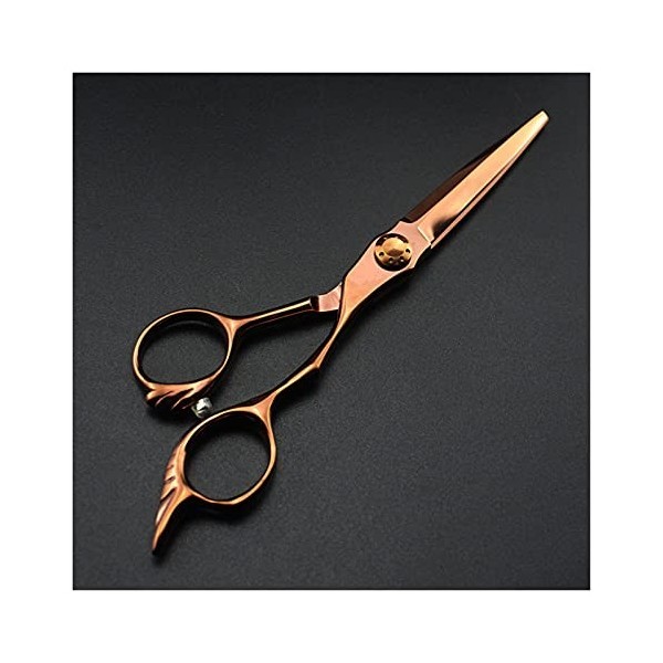 NC Ciseaux de Coupe de Cheveux Amincissants en Laiton de 6 Pouces, Outils de Coiffeur Couleur : Ensemble 