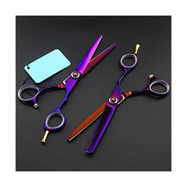 ciseaux de coiffeur Ciseaux De Coupe De Cheveux, 6 Pouces Professionnel Japon 440c Violet Gem Ciseaux De Cheveux Coupe Coiffe