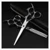 Ciseaux de coupe de cheveux Outils de coiffure professionnels, Ciseaux de coiffure en argent, Ciseaux de coiffure, Ciseaux de