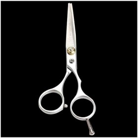 Jeu de coiffure Outil idéal de haute qualité for les coiffeurs ciseaux de cheveux en alliage dacier inoxydable