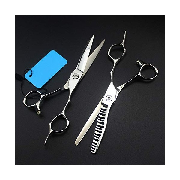 Professionnel ciseaux cheveux Kit 6.0 pouces Ciseaux de coiffure plat dents Ciseaux Ciseaux Bangs dents Ciseaux Ciseaux Aminc