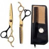 Ciseaux de coiffure professionnel Ciseaux cheveux Dilution Set coupe de cheveux Ciseaux Barber Ciseaux 440C for salon de coif