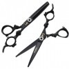 Ciseaux De Coiffure Set 6,0 Pouces 17 CM, Coiffure 440C en Acier Inoxydable Barber Shears- Lumière Et Sharp avec Arbre Réglab