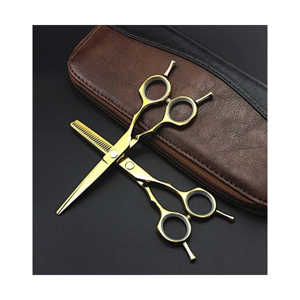 Ciseaux de coupe de cheveux, 440c 5,5 pouces, ciseaux à deux queues symétriques, ciseaux amincissants, ensemble de ciseaux de