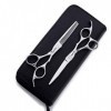 6 Pouces Ciseaux Coiffeur Professionnel, Cisaillement Plat Et des Dents De Cisaillement Cheveux Set Cut, Salon De Coiffure en