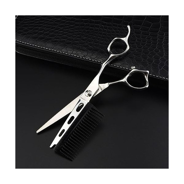 Ciseaux de coupe de cheveux, ciseaux de cheveux amovibles professionnels en acier JP440c de 6 pouces avec peigne coupe de che