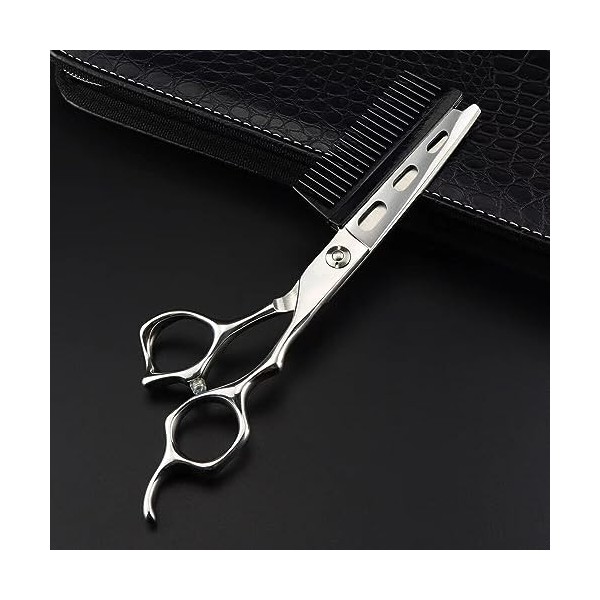 Ciseaux de coupe de cheveux, ciseaux de cheveux amovibles professionnels en acier JP440c de 6 pouces avec peigne coupe de che