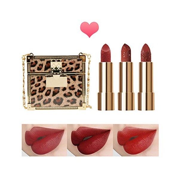 Erinde Léopard Mat Rouge à Lèvres Rouge Maquillage Set, Longue durée Haut pigmenté et Non-fade Rouge à lèvres rouge, Imperméa