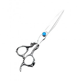 Ciseaux Coiffure/Ciseaux Cheveux 7 pouces de coupe droite ciseaux de ciseaux de ciseaux de ciseaux de ciseaux de toilettage c