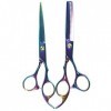 WYGC Scissors Ciseau Coiffeur, Ciseaux De Coiffure Professionnel - Ciseaux De Coupe De Cheveux De Coiffeur - Coffret Cadeau C