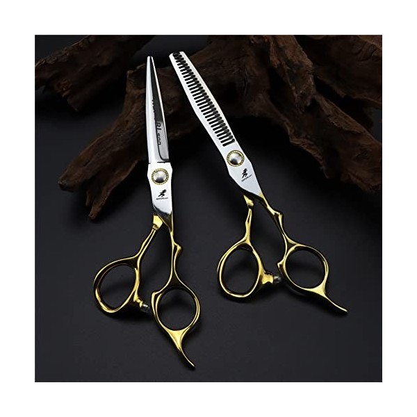 leybold Set de Ciseaux de Coiffure Professionnel, Tondeuse à Cheveux Professionnels de 6 Pouces, Ciseaux à Cheveux de 5CR Sal