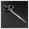 Ciseaux pour coupe de cheveux Ciseaux de barbier de 5/5,5/6 pouces, ciseaux de barbier dorés, coiffeur, ciseaux de coiffure, 