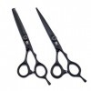 Noir Professionnels Coiffeur Ciseaux de Coiffeur Premium 6.0 Pouces Droitière Set 440C Barber Scissor Texture Dilution Ciseau