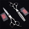 Adroit 6,0 Pouces Professionnels Fournitures Haut de Gamme de Coiffeur Ciseaux Cheveux Set Barber rhéofluidifiant Haircut Sal