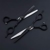 Fournitures Professionnelles Haut de Gamme européenne Retro 6.0 Pouces Set Noir Salon de Coiffure Ciseaux de Coiffure Salon d