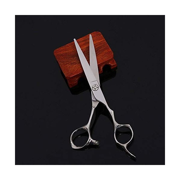 Strumenti per taglio dei capelli, Cisailles plates, coupe de cheveux et outils de coiffure à domicile,Rimozione Peli Forbici 
