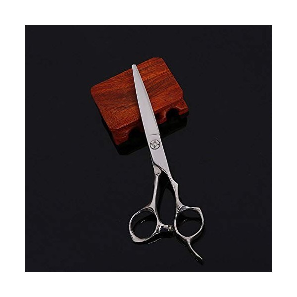Strumenti per taglio dei capelli, Cisailles plates, coupe de cheveux et outils de coiffure à domicile,Rimozione Peli Forbici 