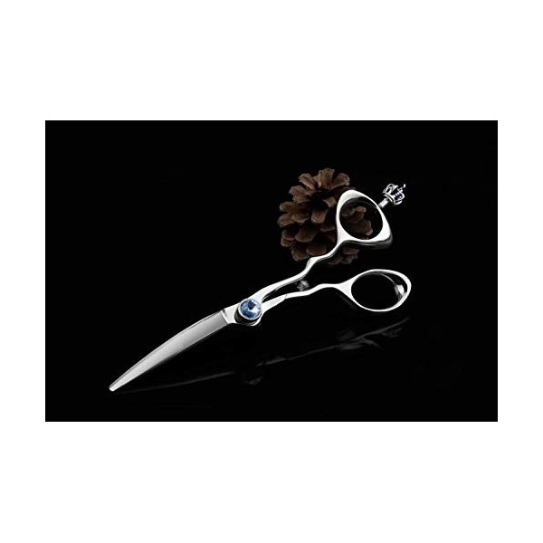 Outils de coupe de cheveux Ciseaux professionnels pour cheveux - Ciseaux de coupe de cheveux de barbier Cisailles de 6,0 pouc