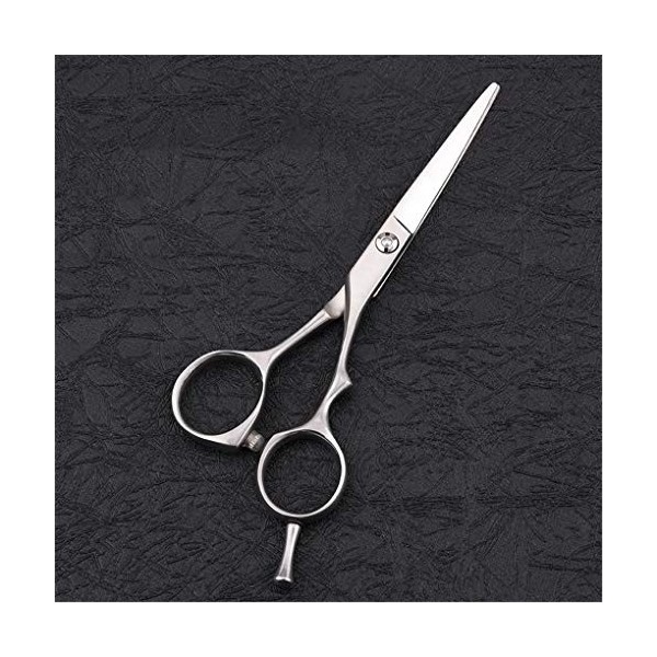 LUCHONG Ciseaux De Coiffure Set 5.5" Inoxydable De Haute Qualité Professionnelle Haircut Aspect Poli Uniformément Belle avec 