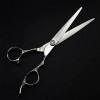 ciseaux de coiffeur Ciseaux De Coupe De Cheveux, 6 Pouces Professionnel Japon 440C Ciseaux En Acier Rosette Texture Coupe Cis