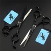 Professionnelle Professionnelle Noir CELLISSE Ciseaux Ciseaux Barber Set Salle DE CANTRESSING Salon CISEILS Ciseaux UPCALE 44