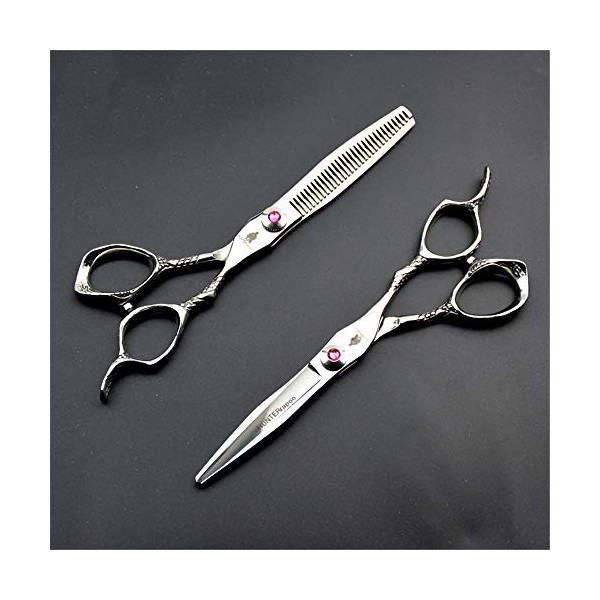 Ciseaux Coiffure Combinaison Set Super Sharp Professionnel Ciseaux de coiffeur  Outil Salon Mince  Trousse 5.5 Pouce  Parfait