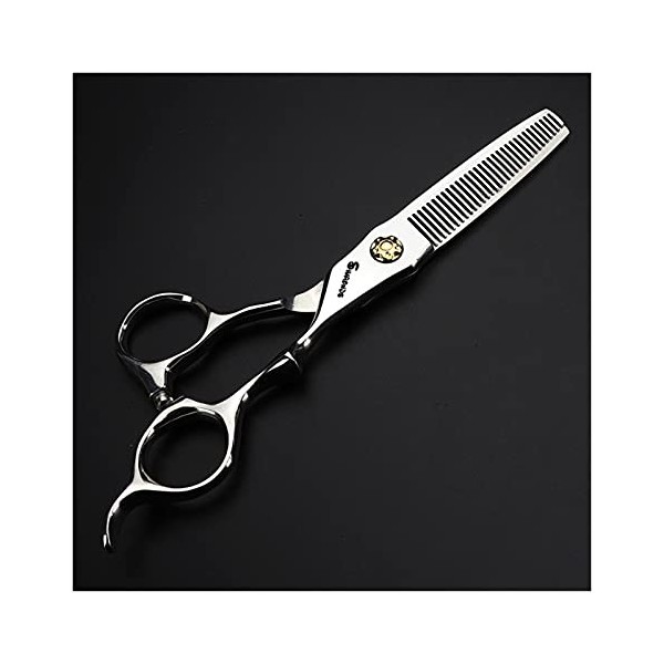 Ciseaux pour coupe de cheveux, ciseaux de coiffure 5,5/6 pouces, spéciaux pour la coiffure dans les salons de beauté, ciseaux