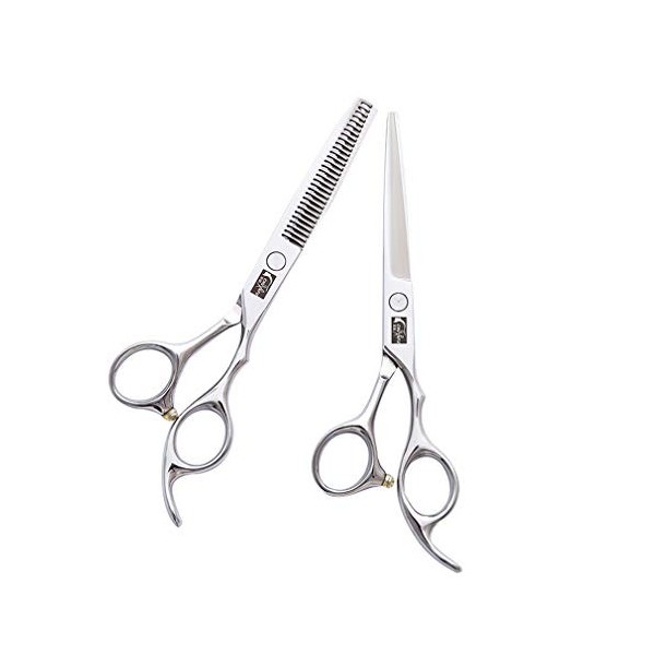 Coiffeur Professionnel Haut de Gamme 6.0 Pouces Ciseaux de Coiffure Ciseaux de Coiffure Set rhéofluidifiant Salon de Coiffure