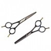 Ciseaux cheveux 5.5 pouces professionnel Ciseaux de coiffure Dilution salon de coiffure Ciseaux Set coupe de cheveux Ciseaux 