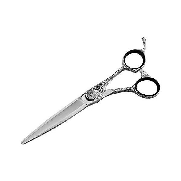 Outils de coupe de cheveux Ciseaux de coiffeur Ciseaux de coiffure Ciseaux de coupe de cheveux Ciseaux de coiffure Ciseaux de