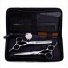 Professional 6.0 pouces Ciseaux de coupe de cheveux - coiffure Dilution Cisailles salon de coiffure Set pour Salon femmes et 